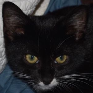 Meet your Posher, Anna